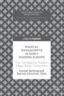 Image for Magical Manuscripts in Early Modern Europe: The Clandestine Trade In Illegal Book Collections