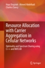 Image for Resource Allocation with Carrier Aggregation in Cellular Networks: Optimality and Spectrum Sharing using C++ and MATLAB