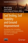 Image for Soil testing, soil stability and ground improvement: proceedings of the 1st GeoMEast International Congress and Exhibition, Egypt 2017 on Sustainable Civil Infrastructures