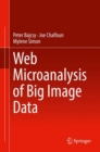 Image for Web Microanalysis of Big Image Data