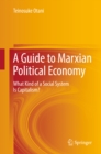 Image for A guide to Marxian political economy: what kind of a social system is capitalism?