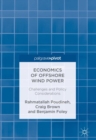 Image for Economics of offshore wind power  : challenges and policy considerations