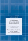 Image for Economics of offshore wind power: challenges and policy considerations