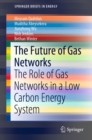 Image for The future of gas networks: the role of gas networks in a low carbon energy system
