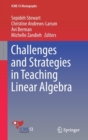 Image for Challenges and Strategies in Teaching Linear Algebra