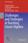 Image for Challenges and Strategies in Teaching Linear Algebra