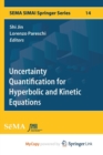 Image for Uncertainty Quantification for Hyperbolic and Kinetic Equations