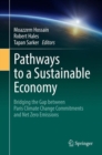 Image for Pathways to a Sustainable Economy
