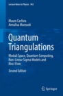 Image for Quantum triangulations: Moduli Space, Quantum Computing, Non-Linear Sigma Models and Ricci Flow