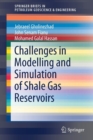 Image for Challenges in Modelling and Simulation of Shale Gas Reservoirs