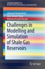 Image for Challenges in Modelling and Simulation of Shale Gas Reservoirs