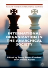 Image for International organization in the anarchical society: the institutional structure of world order