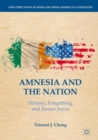 Image for Amnesia and the nation  : history, forgetting, and James Joyce