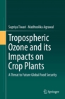 Image for Tropospheric Ozone and its Impacts on Crop Plants