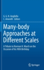 Image for Many-body Approaches at Different Scales