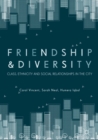 Image for Friendship and diversity: class, ethnicity and social relationships in the city