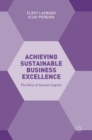 Image for Achieving sustainable business excellence  : the role of human capital