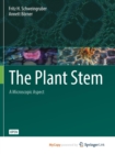 Image for The Plant Stem