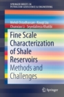 Image for Fine Scale Characterization of Shale Reservoirs