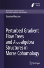 Image for Perturbed Gradient Flow Trees and Ainfinity-algebra Structures in Morse Cohomology