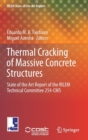 Image for Thermal Cracking of Massive Concrete Structures