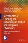 Image for Mechanisms of cracking and debonding in asphalt and composite pavements: state-of-the-art of the RILEM TC 241-MCD