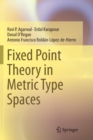 Image for Fixed Point Theory in Metric Type Spaces