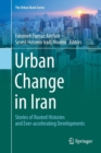 Image for Urban Change in Iran