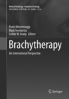 Image for Brachytherapy : An International Perspective