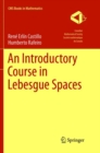 Image for An Introductory Course in Lebesgue Spaces