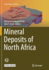 Image for Mineral Deposits of North Africa
