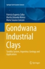 Image for Gondwana Industrial Clays : Tandilia System, Argentina-Geology and Applications