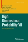 Image for High Dimensional Probability VII : The Cargese Volume