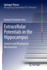 Image for Extracellular Potentials in the Hippocampus : Sources and Biophysical Mechanisms