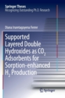 Image for Supported Layered Double Hydroxides as CO2 Adsorbents for Sorption-enhanced H2 Production