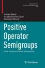Image for Positive Operator Semigroups : From Finite to Infinite Dimensions