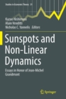 Image for Sunspots and Non-Linear Dynamics : Essays in Honor of Jean-Michel Grandmont