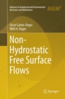 Image for Non-Hydrostatic Free Surface Flows