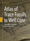 Image for Atlas of Trace Fossils in Well Core : Appearance, Taxonomy and Interpretation