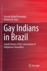 Image for Gay Indians in Brazil : Untold Stories of the Colonization of Indigenous Sexualities