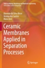 Image for Ceramic Membranes Applied in Separation Processes
