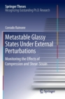 Image for Metastable glassy states under external perturbations  : monitoring the effects of compression and shear-strain