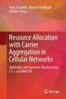 Image for Resource Allocation with Carrier Aggregation in Cellular Networks : Optimality and Spectrum Sharing using C++ and MATLAB