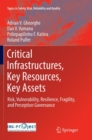 Image for Critical Infrastructures, Key Resources, Key Assets