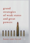 Image for Grand Strategies of Weak States and Great Powers