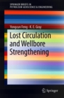 Image for Lost Circulation and Wellbore Strengthening