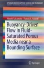 Image for Buoyancy-driven flow in fluid-saturated porous media near a bounding surface