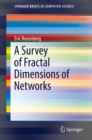 Image for Survey of Fractal Dimensions of Networks
