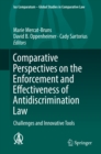 Image for Comparative perspectives on the enforcement and effectiveness of antidiscrimination law: challenges and innovative tools : volume 28