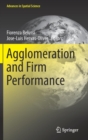 Image for Agglomeration and Firm Performance